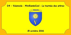 04 - Valensole - MiniRandoCool - La ronde des arbres - 31 octobre 2016