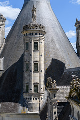 S 054_24 CHAMBORD: Château, les toits comme un jardin promenade_6