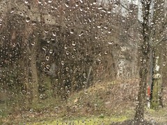 069/366 - rainy day, Occoquan, Virginia, March 9, 2024