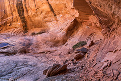 Moab Area Rock Art XLII (3-9-24 - 3-10-24)