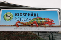 Potsdam 27.2.2024 - Biosphäre