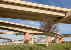 A forest of overpasses in an interchange wonderland, in Dallas.
