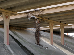 Viney support pier of Interstate 635 thru north Dallas, the Lyndon B Johnson Freeway.