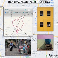 Fitbit Walks 2024