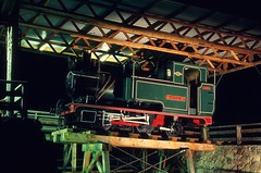 Tasmania Rail Museums, Locos in Parks