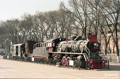 Chinese Steam 2024