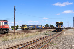 South Australian Trains 2024