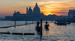 Italy - Venice - 2024 Carnevale - Touristy Photos from Around the City
