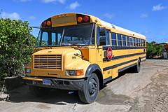 North American School Buses