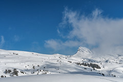 S 061_24 MELLAU: Panorama des Alpes sous la neige fraiche