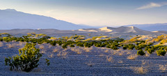 Death Valley Vacation 2024