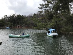 Whale boat rescue, Kurondo-ike Pond @Nara,Feb2024