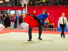 Championnat de France de Kung-Fu