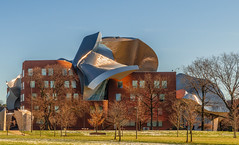 Cleveland's Gehry