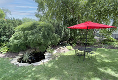 Backyard at Claire's Restaurant Warrenton (VA) August 2023