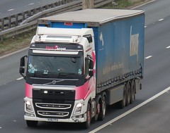 Pink Parrott Transport 