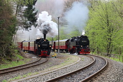 Harzer Schmalspur Bahnen; 5 mei 2022