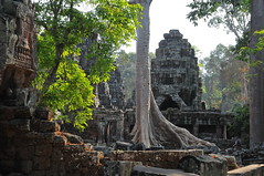 Cambodge - Temples d'Angkor - 2024