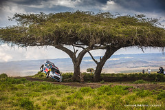 Safari Rally Kenya 2024
