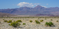 Death Valley National Park Fine Art Landscape Photography Purple Mountains Majesty -- Elliot McGucken California Desert American Southwest Nature Photography