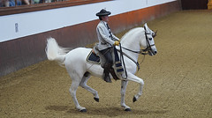 Escuela Andaluza de Arte Ecuestre / Royal Andalusian School of Equestrian Art