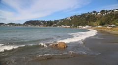 New Zealand Wellington Harbour and Heads
