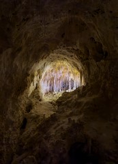 Carlsbad Caverns National Park, New Mexico (2024)