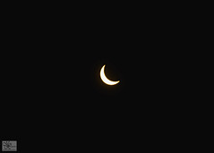 Solar Eclipse (4/8/24)