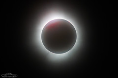 2024 Solar Eclipse Brews & Views
