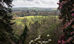The Killerton Estate and Broadclyst