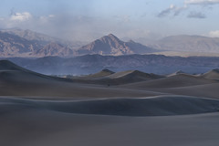 Death Valley Mesquite Dunes Sandstorm! Dr. Elliot McGucken Fuji GFX Death Valley National Park Dunes Fine Art Landscape Nature Photography! Medium Format Fuji GFX 100 ! FUJIFILM FUJINON GF 45-100mm f/4 OIS WR Lens!