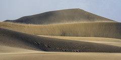 Dramatic Light Death Valley Mesquite Dunes Sandstorm Epic American Desert Southwest Photo Art ! Dr. Elliot McGucken Sony A1 Death Valley National Park Dunes Fine Art Landscape Nature Photography! Sony Alpha 1 & 70-200mm F2.8 Gmaster Lens !