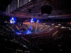 Bruce Springsteen Concerts