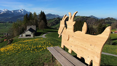 Schweiz - Kanton Appenzell / Region Appenzell / Gais- Themenweg Lauras Lieblingsplätze