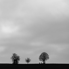 minimalism_landscape