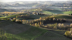 LE MIE LANGHE III