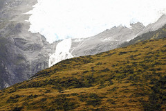 Punta Arenas, Glacier Alley, and Cruising Around Cape Horn