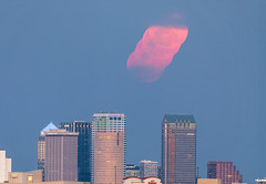 Pink Moon Rising Over Tampa Composite