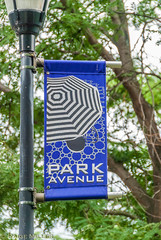 Park Avenue and East Avenue, Rochester