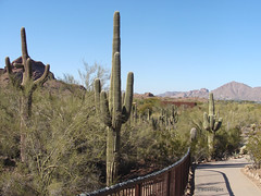 2012 Arizona