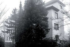 Waldkrankenhaus