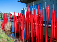 Chihuly at the VMFA