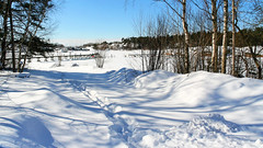 Lervik In Winter 1