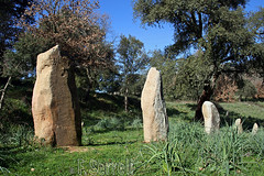 Pedras fittas, i menhir di Sardegna