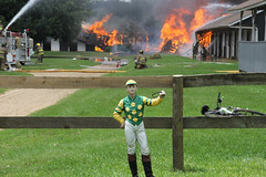 Dogwood - Legacy Stables Fire