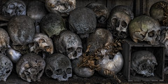 “Life-s true face is the skull.” - Photo of Merles-sur-Loison
