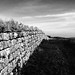 Hadrian's Wall 2