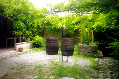 Barrels in a garden - Photo of Jonzac