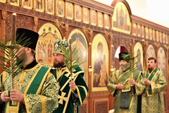 21.04.2019 | Праздник Входа Господня в Иерусалим в Юрьевом монастыре