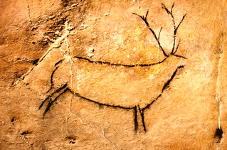Ancient rock art of Elk at El Castillo cave, Spain